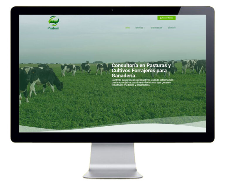 Diseño de pagina web para Pratum