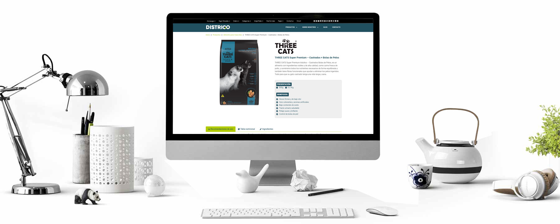 Diseño de pagina web para Districo Uruguay